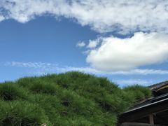 -中村藤吉(本店)
