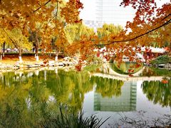 -大兴滨河森林公园