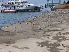 -星海广场
