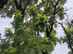 -恭王府博物馆
