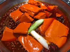 -孙毛肚火锅(春熙路店)