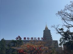 -听松楼·花园酒店·自助餐厅(红梅公园店)