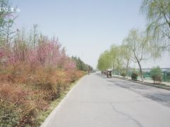 -洨河生态公园