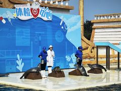 -秦皇岛乐岛海洋王国