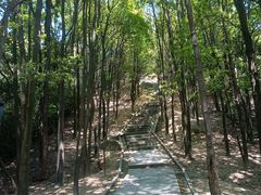 -火炉山森林公园
