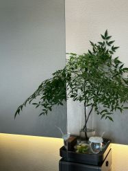 -悦Salon发型设计