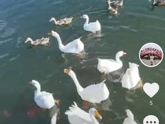 -西安汉城湖景区