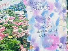 -HALO广场(梨园路店)