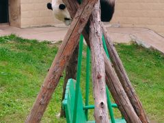 -石家庄市动物园