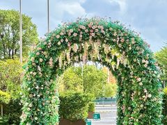 -汕头龙光喜来登酒店