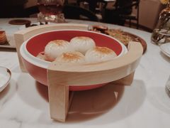 -鹏瑞莱佛士酒店·云璟 Yun Jing