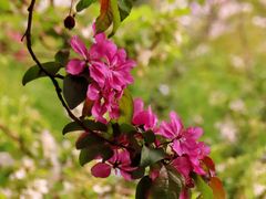 -元大都城垣遗址公园