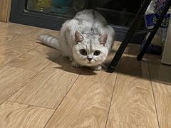 -颐而康·按摩·艾灸·足疗(武陵大道店)