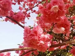 -云南师范大学(一二一西南联大校区)