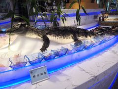 -澜悦港海鲜体验主题餐厅