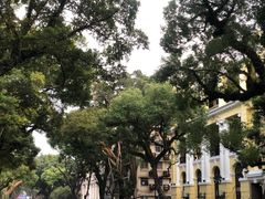 -星巴克臻选(广州沙面店)