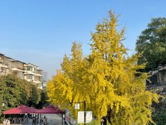 -岳麓山风景名胜区