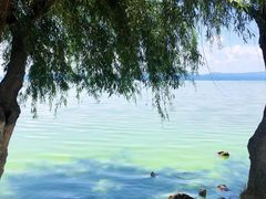 -捞渔河湿地公园