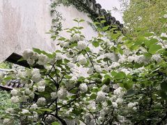 -惠山古镇·寄畅园