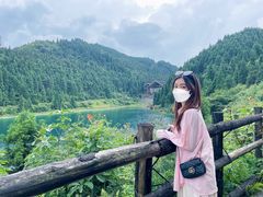 -武陵山森林公园