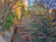 -有马温泉 竹取亭円山温泉旅馆