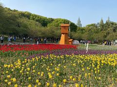 -苏州上方山国家森林公园