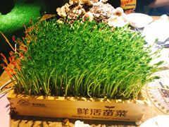 -七欣天香辣蟹火锅(苏州相城VIP总店)