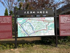 -盐城丹顶鹤湿地生态旅游区