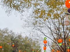 -沈阳方特欢乐世界