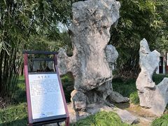 -上海醉白池公园