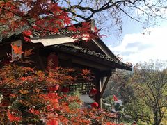 -塔川景区