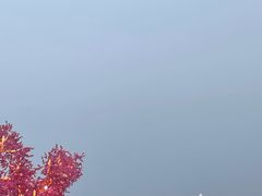 -飞虹鱼馆(春华路店)