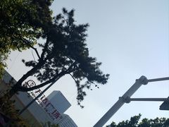 门面-万达广场(泰安泰山店)