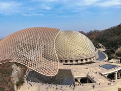 -牛首山文化旅游区