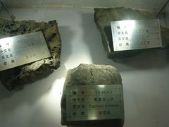 -金钉子远古世界景区