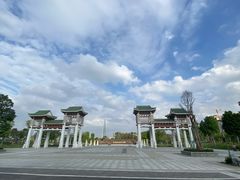 -王借岗森林公园