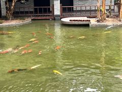 -顺德渔村·岭南一号