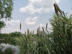 -重庆彩云湖湿地公园