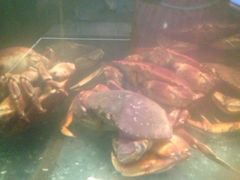 iphone_upload_pic-李老爹香辣蟹(宣武门店)