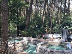 -金方森林温泉