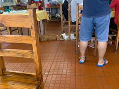 -南沙十九涌渔人码头-南门