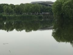 -新江湾城公园