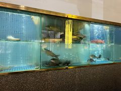 -顺峰顺水顺德菜(龙华店)