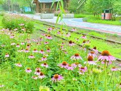 -永定河休闲森林公园