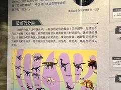 -北京周口店北京人遗址博物馆