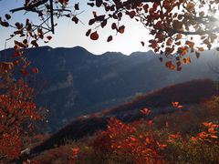 -周口店坡峰岭风景区