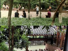 -成都市活水公园