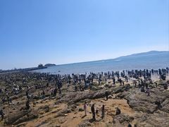 -来之顺海鲜菜馆·青岛菜·始于1993(栈桥店)