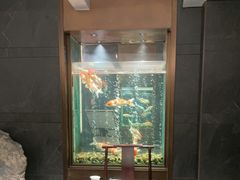 -浩运·海鲜青岛菜·海胆水饺(石老人店)