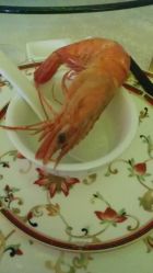 -先锋国际宴会中心(先锋国际广场店)